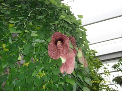 k-Botanischer Garten!016.JPG