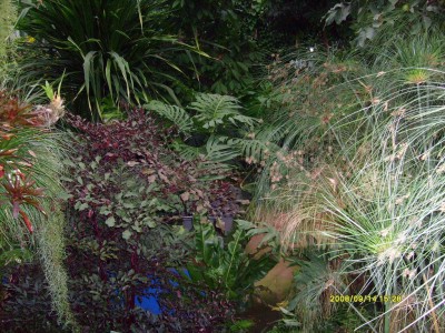 k-Botanischer Garten!030.JPG