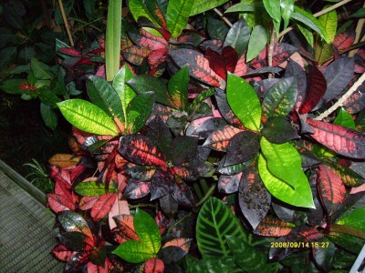 k-Botanischer Garten!029.JPG