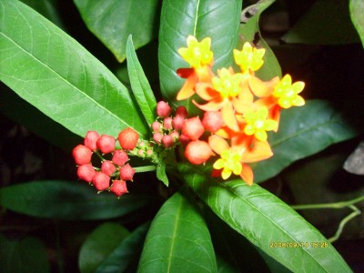 k-Botanischer Garten!027.JPG