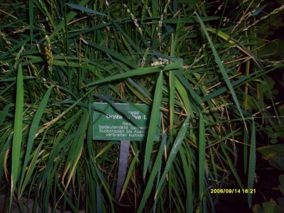 k-Botanischer Garten!077.JPG