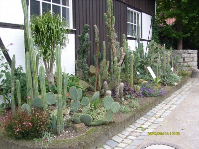 k-Botanischer Garten!066.JPG
