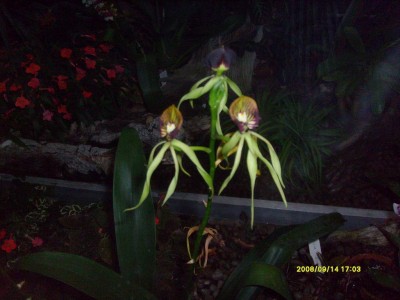 k-Botanischer Garten!097.JPG