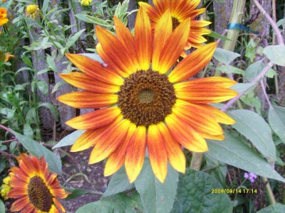 k-Botanischer Garten!113.JPG