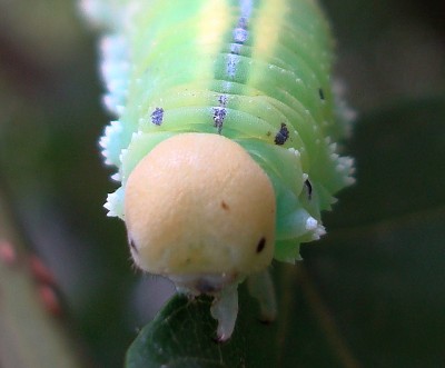 17.09.2008 augen-blicke.jpg