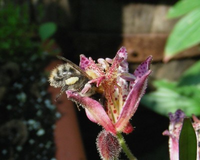 ganz schön anstrengend w.jpg