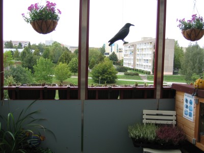 IMG_7962.JPG