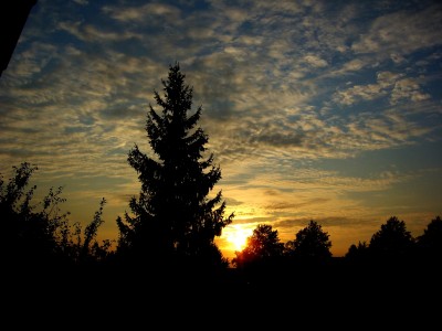 sonnenuntergang 19.09.08 003.jpg