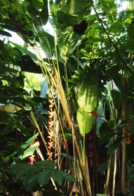 DSCF7426.JPG