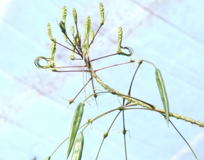 DSCF7421.JPG