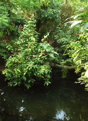 DSCF7468.JPG
