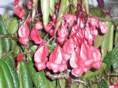 RSCN15010001.JPG