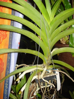 september 2008 167.jpg