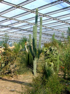 Zoo, Boga usw. 140.jpg