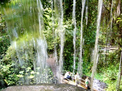 Zoo, Boga usw. 265.jpg