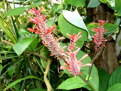 Zoo, Boga usw. 328.jpg
