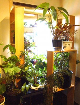 DSCF7673.JPG