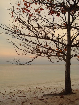 herbst1.jpg