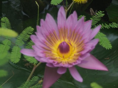 DSCF2049.JPG