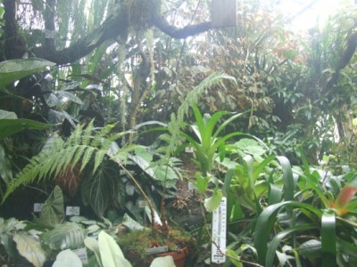 DSCF2037.JPG