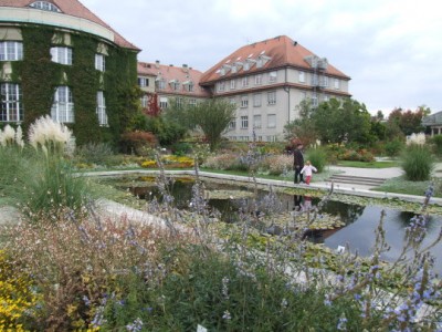 DSCF1995.JPG