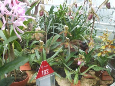 DSCF2079.JPG