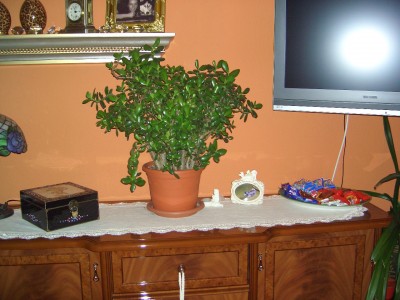 22.9.08 017.jpg