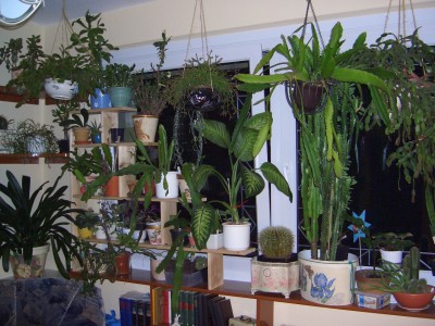 22.9.08 005.jpg