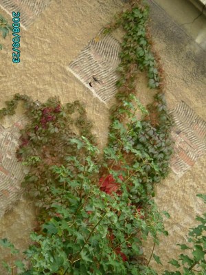 PICT0284.JPG