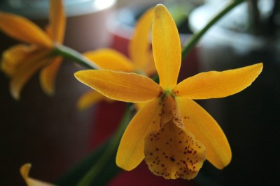 IMG_2926_passig.jpg