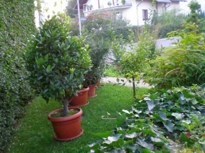 DSCN15870001.JPG