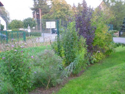 DSCN15830001.JPG