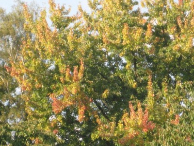 Img_4059.jpg