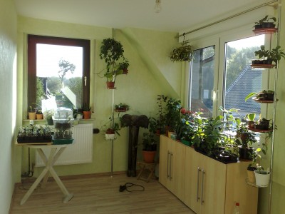 Photo neu 1322.jpg