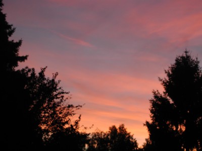 P1010146.JPG