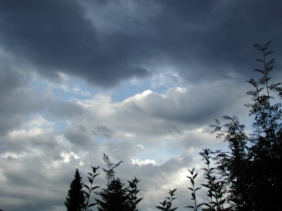 P1010047.JPG