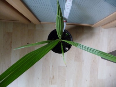 P1010414.JPG