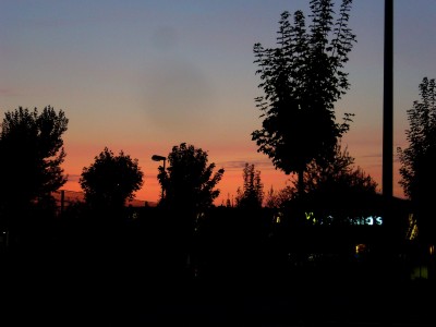 Rittersporn-Sonnenuntergang 029.jpg