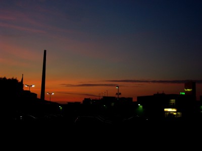 Rittersporn-Sonnenuntergang 018.jpg