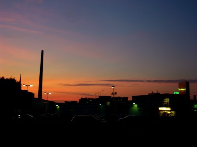 Rittersporn-Sonnenuntergang 017.jpg