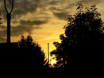 Rittersporn-Sonnenuntergang 011.jpg