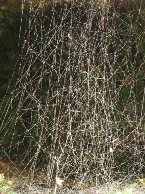 IMG_8824 3D.jpg