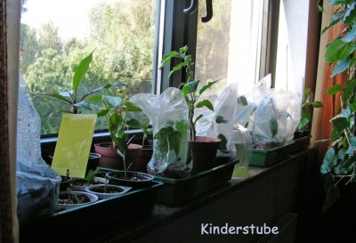 Kinderstube.jpg