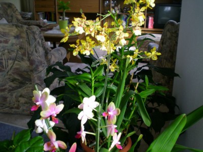 DSCN15990001.JPG