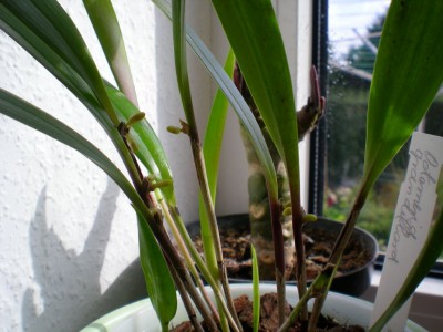 DSCN15920001.JPG
