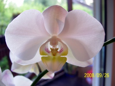 100_0581_edited.jpg