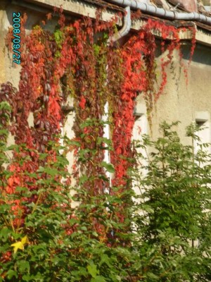 PICT0300.JPG