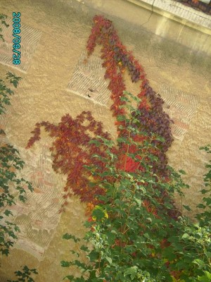 PICT0296.JPG