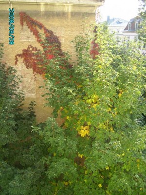 PICT0295.JPG