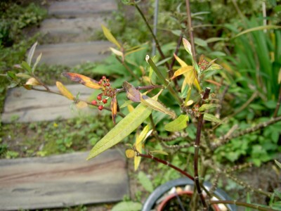 PICT0999.JPG